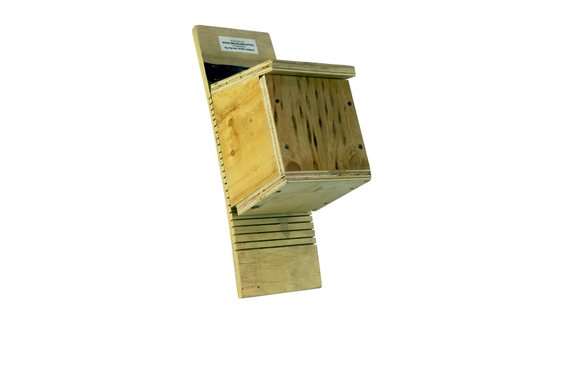 Bat box