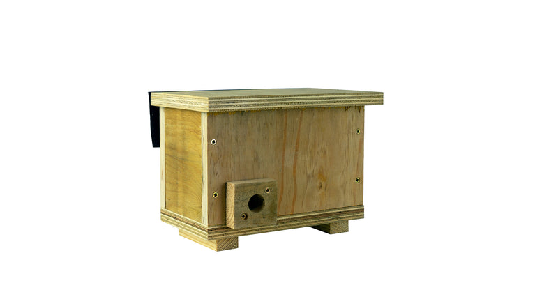 Bumblebee box